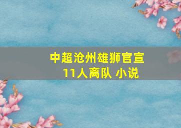 中超沧州雄狮官宣11人离队 小说